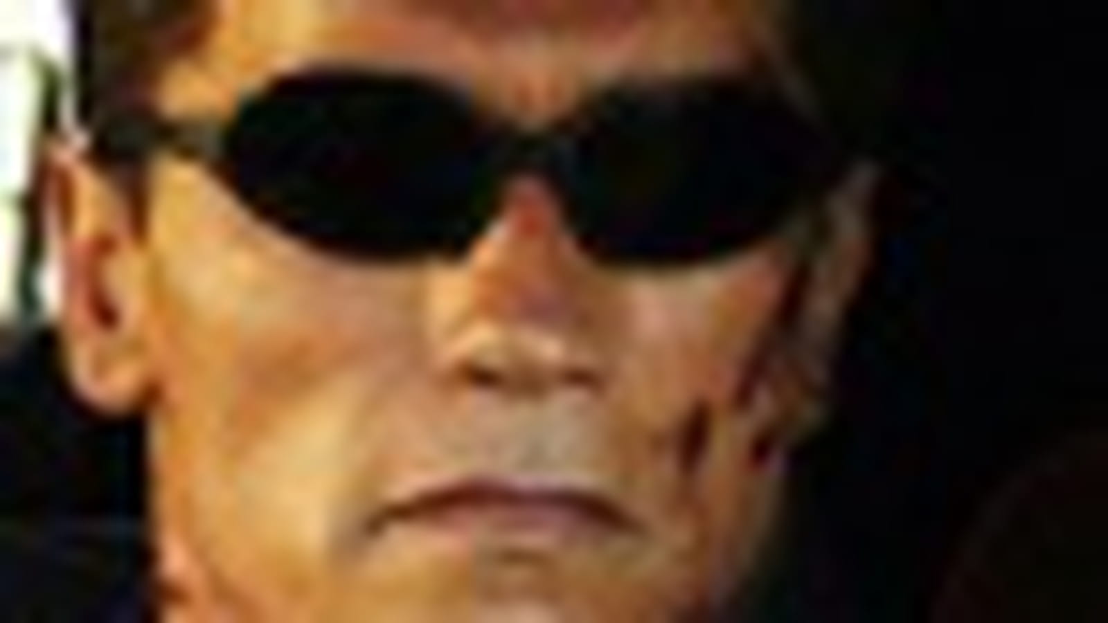 Terminator 3