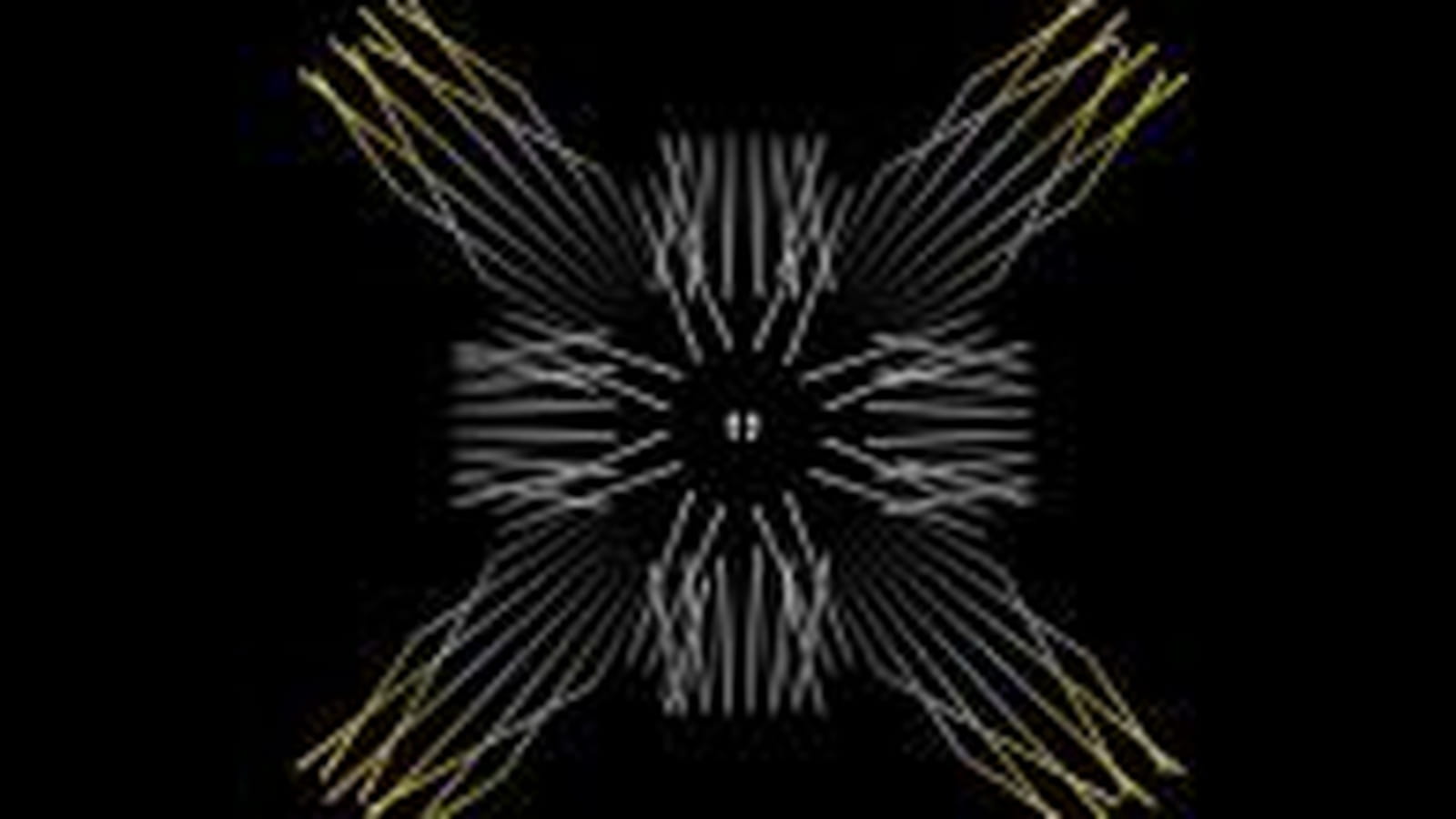 Dark Echo