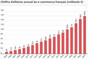 Marketplaces, maison et beaut&eacute;&nbsp;: les rescap&eacute;s de l'e-commerce en 2023