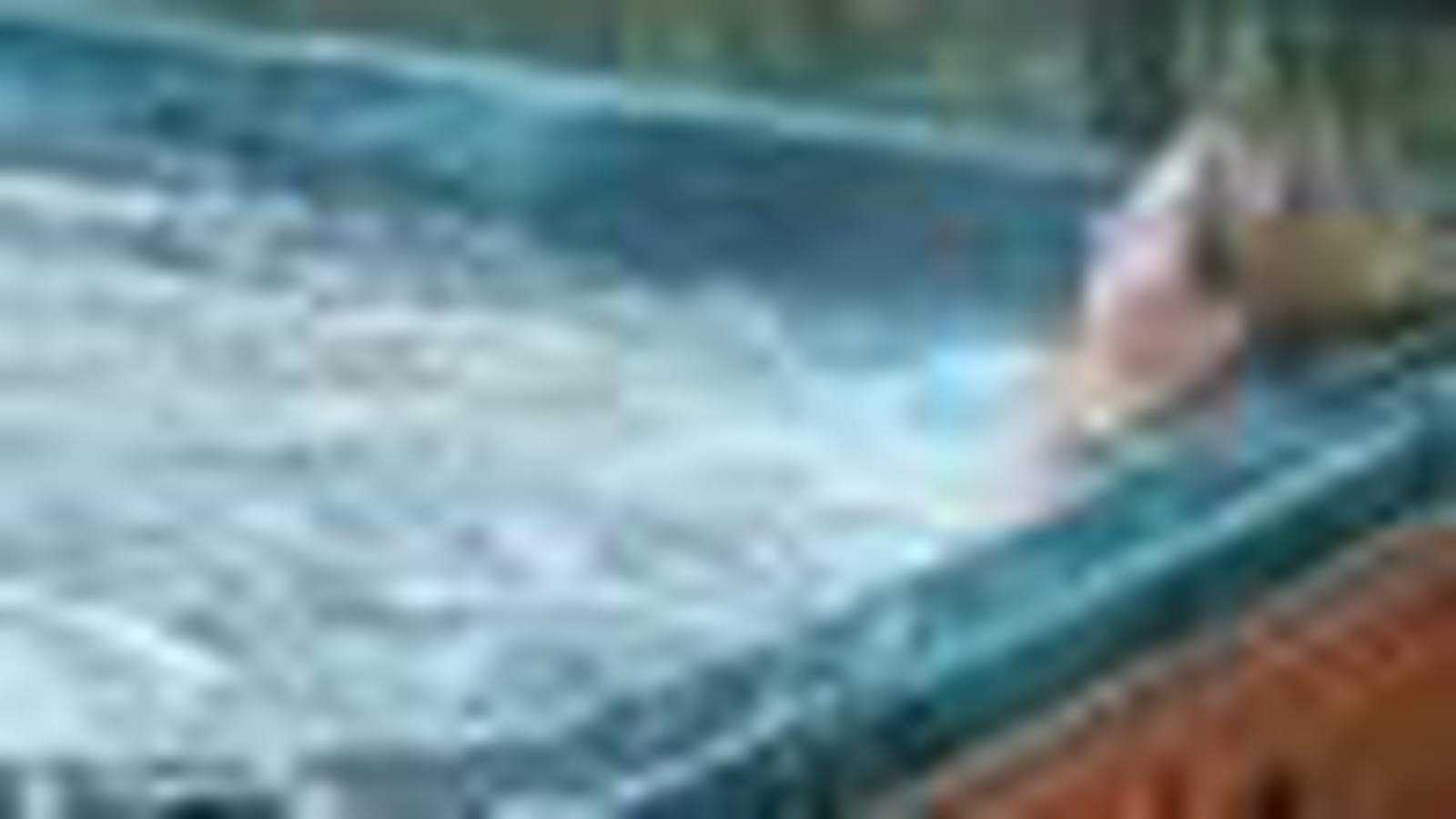 Vente de spas