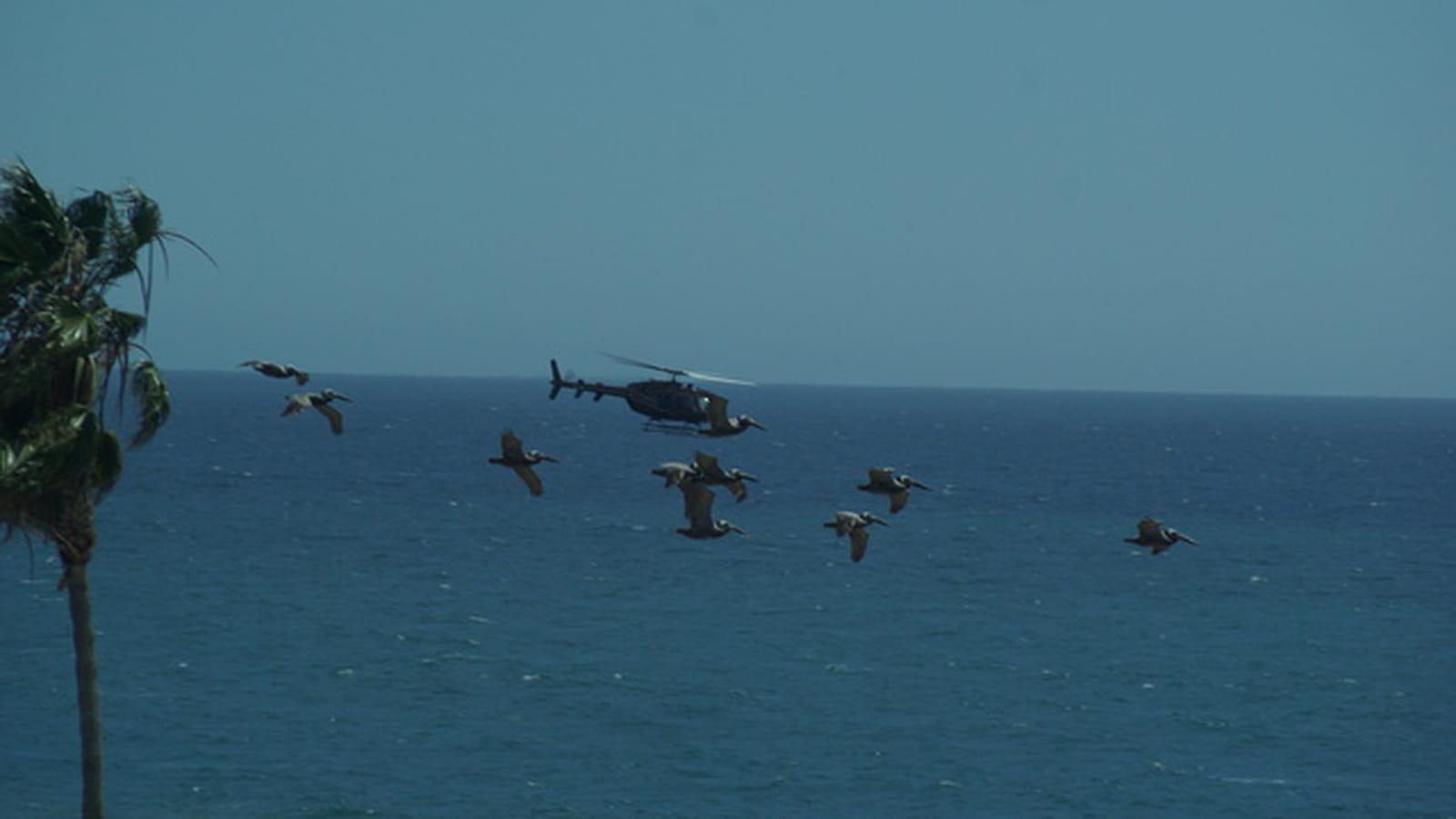 Plusieurs propriétés à Malibu