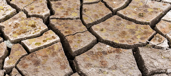 La ministre de la transition &eacute;cologique estime que les canicules de l'&eacute;t&eacute; pourraient co&ucirc;ter jusqu'&agrave; 15&nbsp;milliards d'euros &agrave; l'&eacute;conomie fran&ccedil;aise en 2026