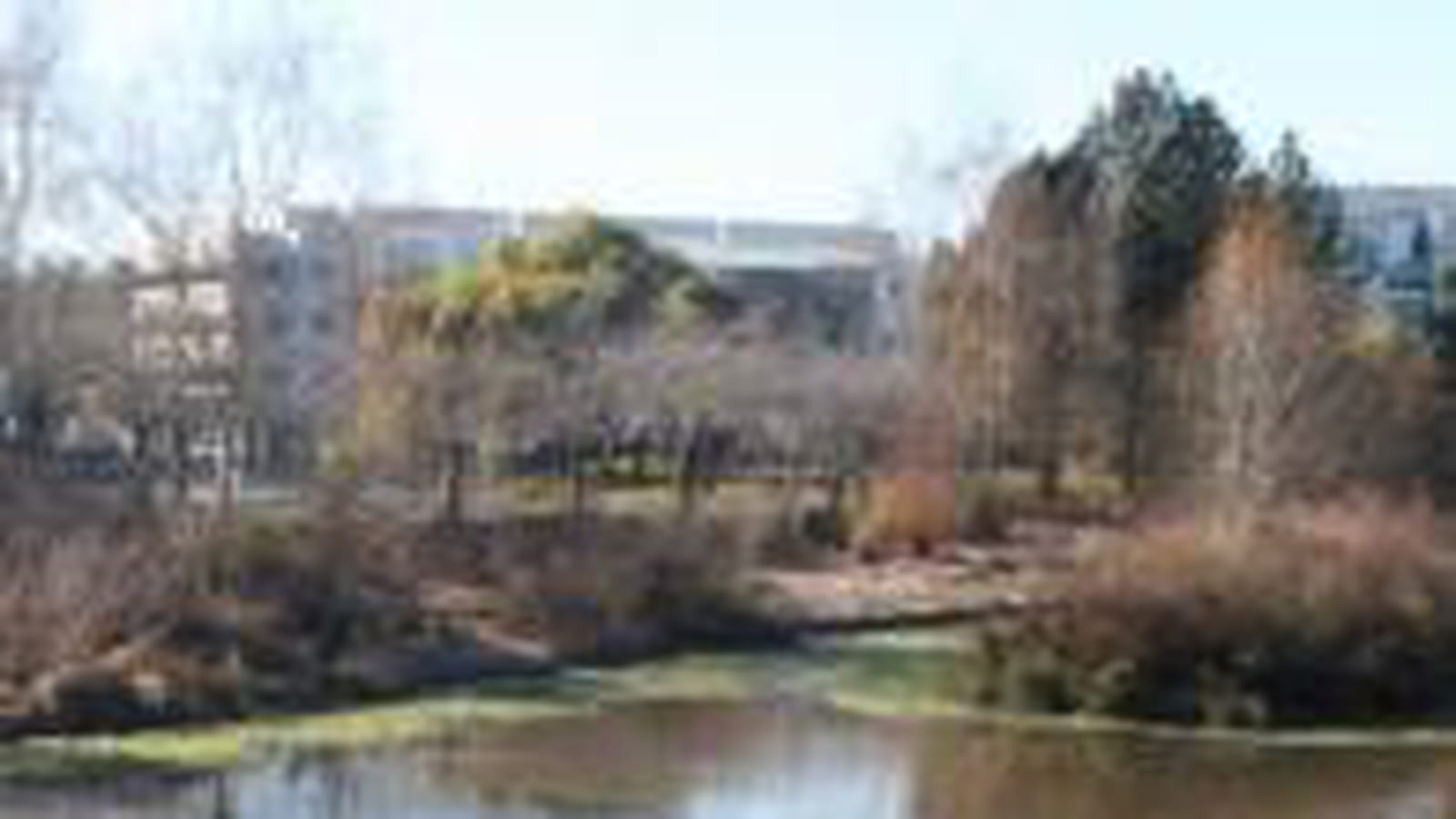 Marais