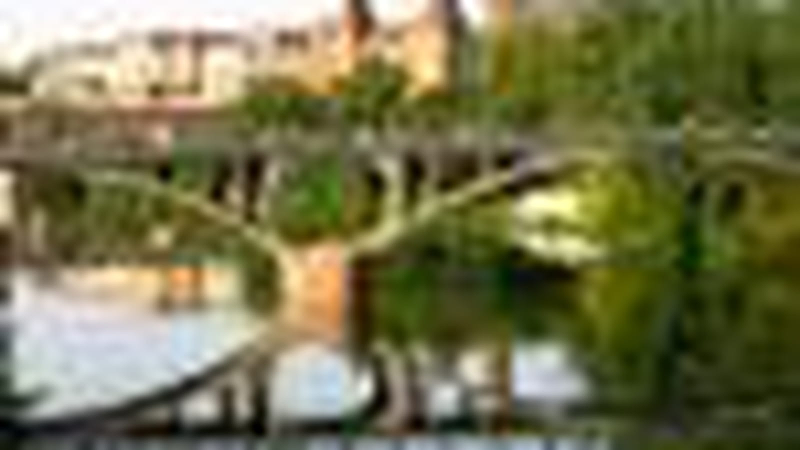 Montauban