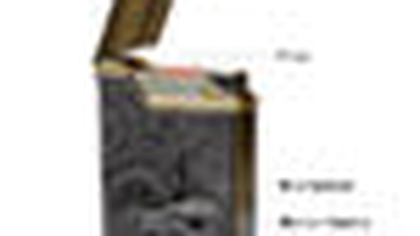 Briquet Caméra