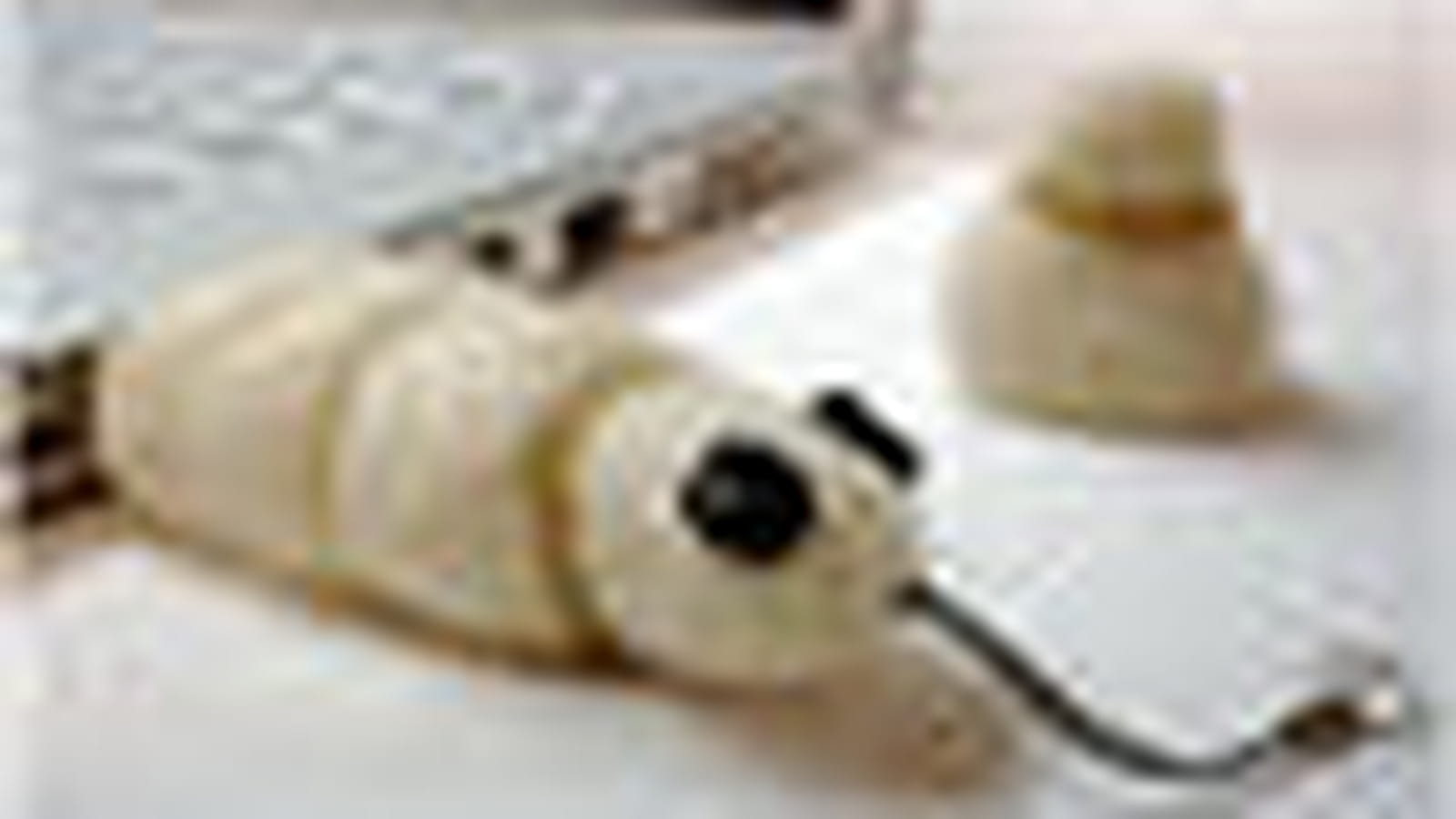 Clé USB