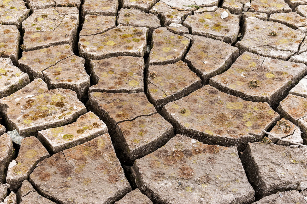 La ministre de la transition écologique estime que les canicules de l'été pourraient coûter jusqu'à 15 milliards d'euros à l'économie française en 2026