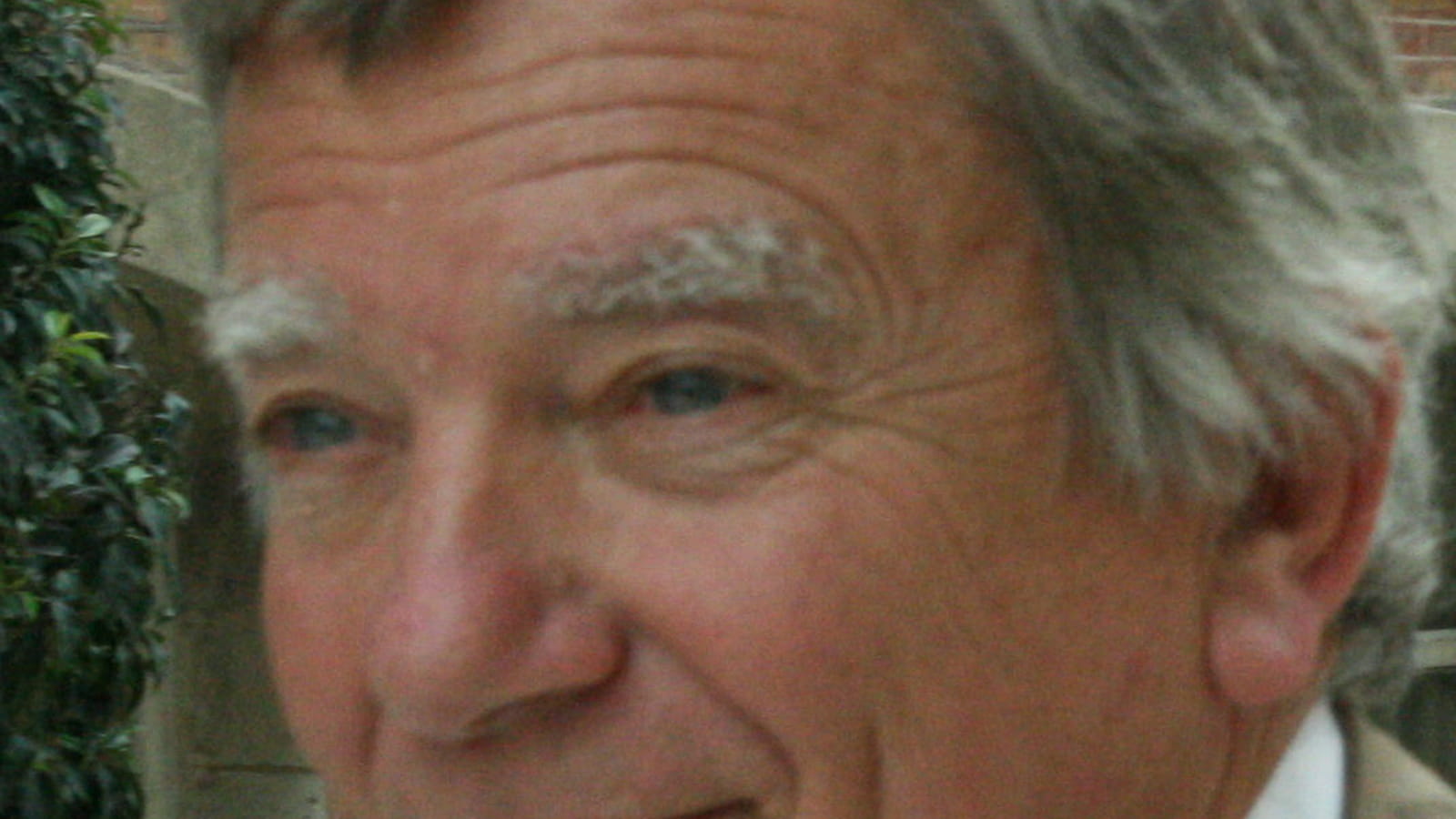 Jean Glavany (Hautes-Pyrénées)