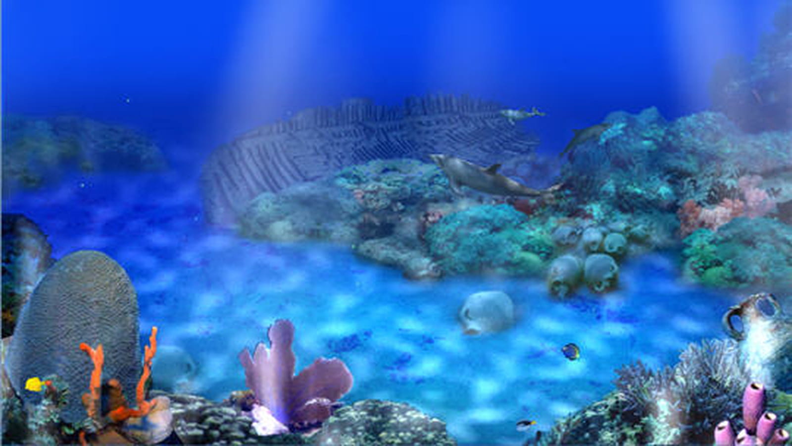 Le ballet des dauphins