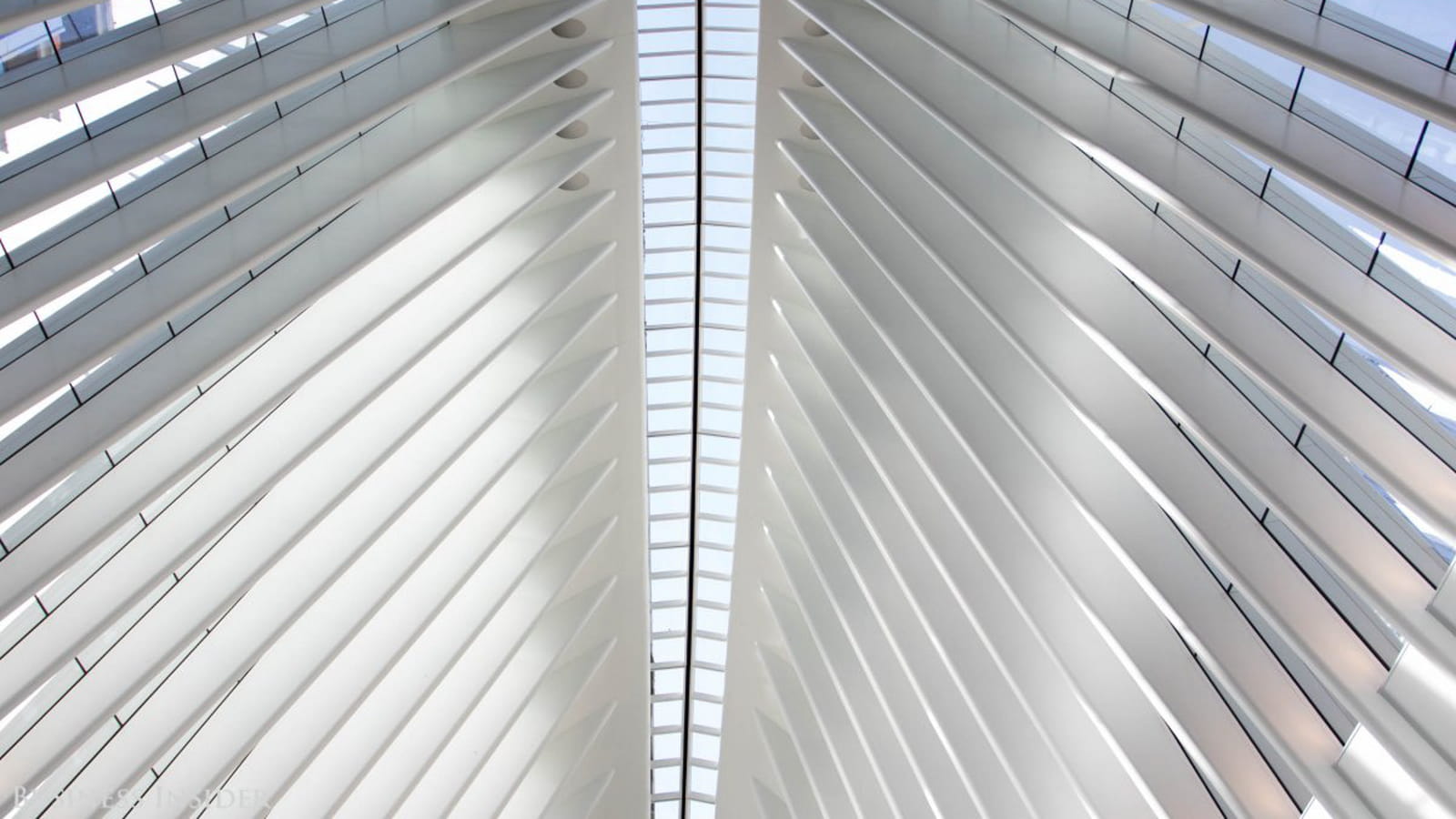 Skylight
