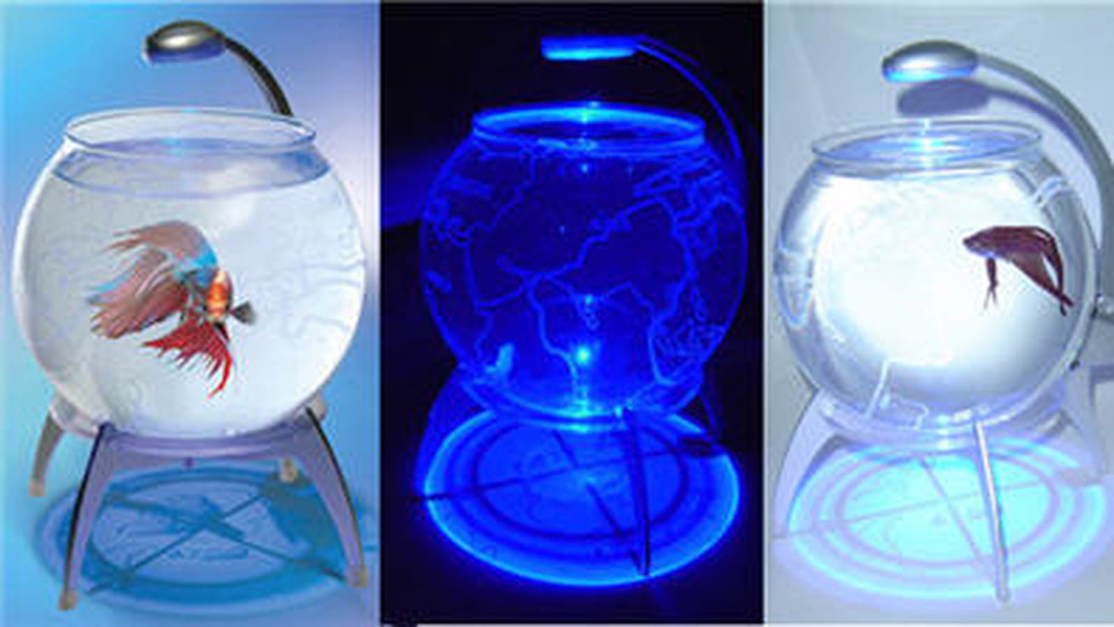 L'aquarium à LED