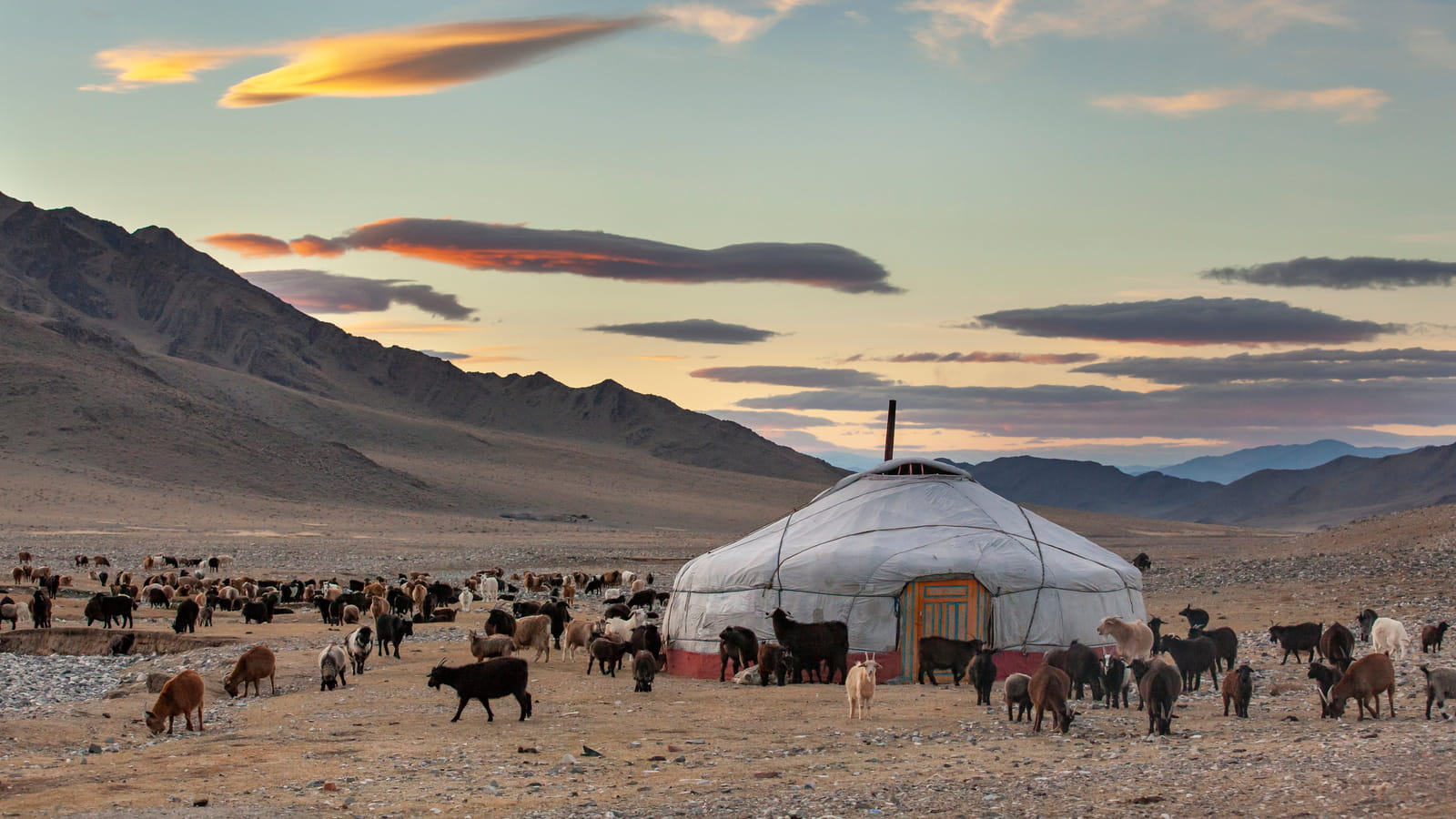 Mongolie