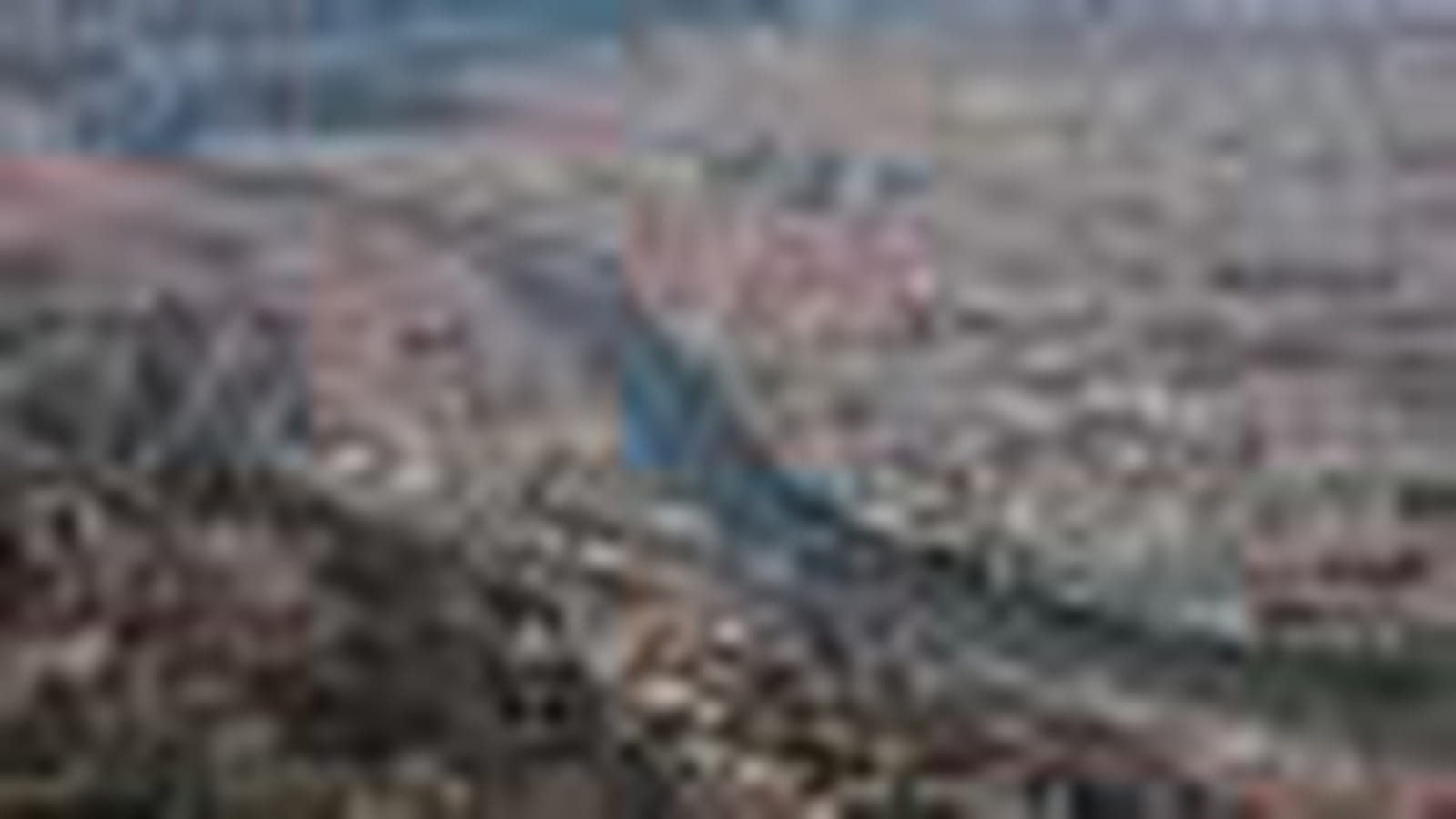 Lyon