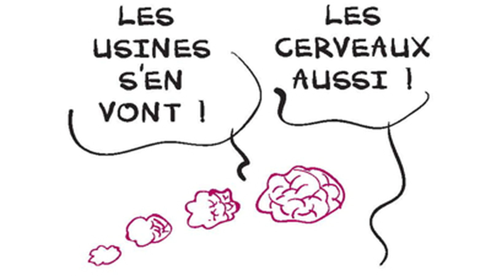 Cerveaux