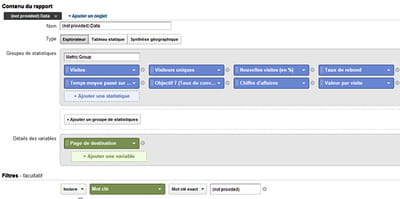 les paramètres du rapport 'seo : (not provided) analysis' proposé par google. il