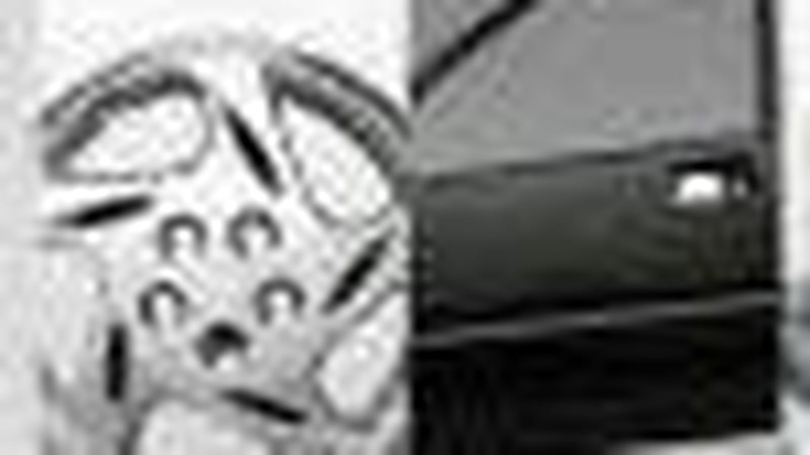 US Auto Parts