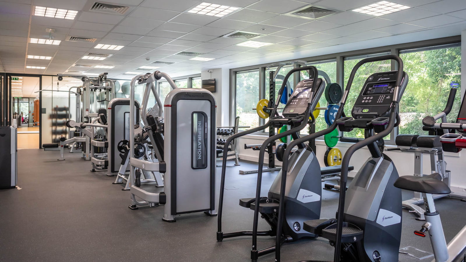 Zen rooms et salles de sport 
