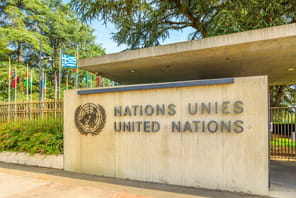 Le Conseil de s&eacute;curit&eacute; de l'ONU devrait se r&eacute;unir la semaine prochaine pour discuter de l'intelligence artificielle lors de l'Assembl&eacute;e g&eacute;n&eacute;rale