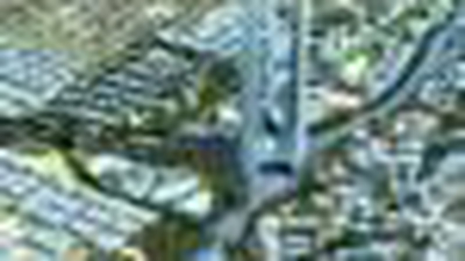 Jumeira Gardens