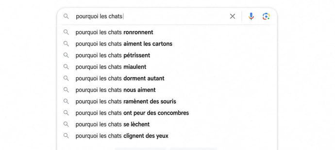 Comment se servir de Google Suggest pour appara&icirc;tre dans les IA&nbsp;?