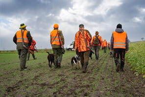 Les chasseurs peuvent venir tirer dans votre jardin et vous ne pourrez rien y faire