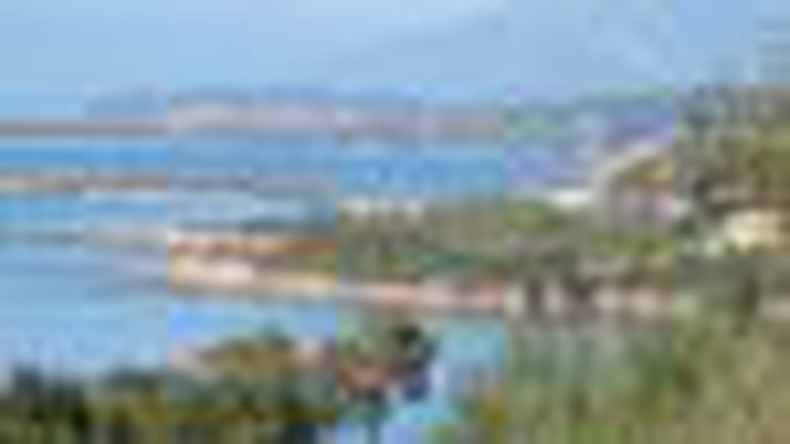 Corse