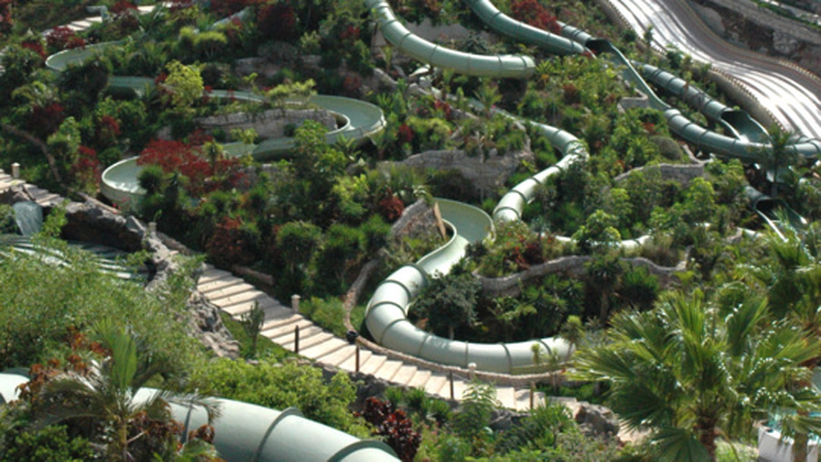 Jungle des serpents