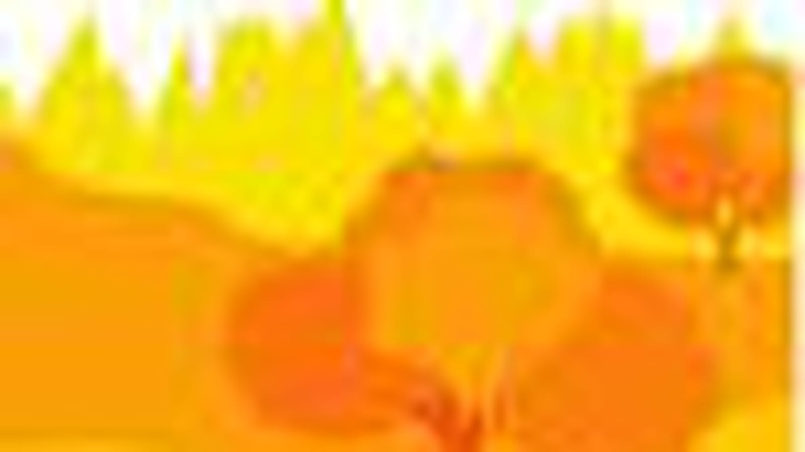 2ème : Orange Personal Pages