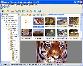 capture d'écran du logiciel