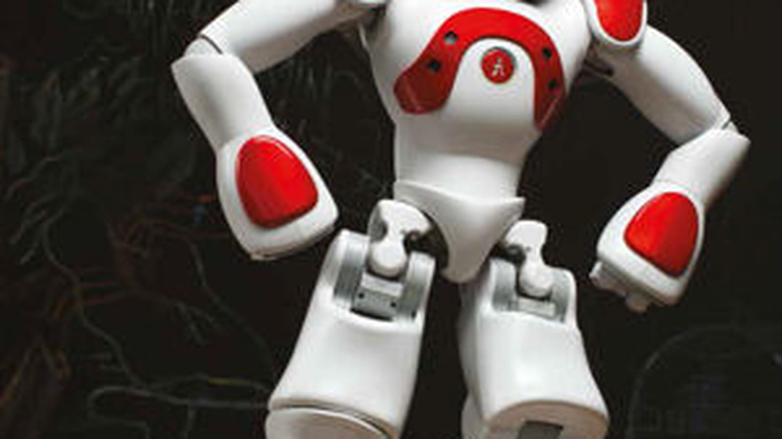 Aldebaran Robotics