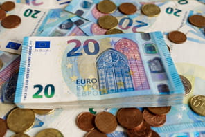 L'Inspection g&eacute;n&eacute;rale des finances et l'Inspection g&eacute;n&eacute;rale des affaires sociales proposent dix mesures pour &eacute;conomiser 4,2&nbsp;milliards d'euros sur les politiques familiales, en ciblant principalement les m&eacute;nages les plus ais&eacute;s