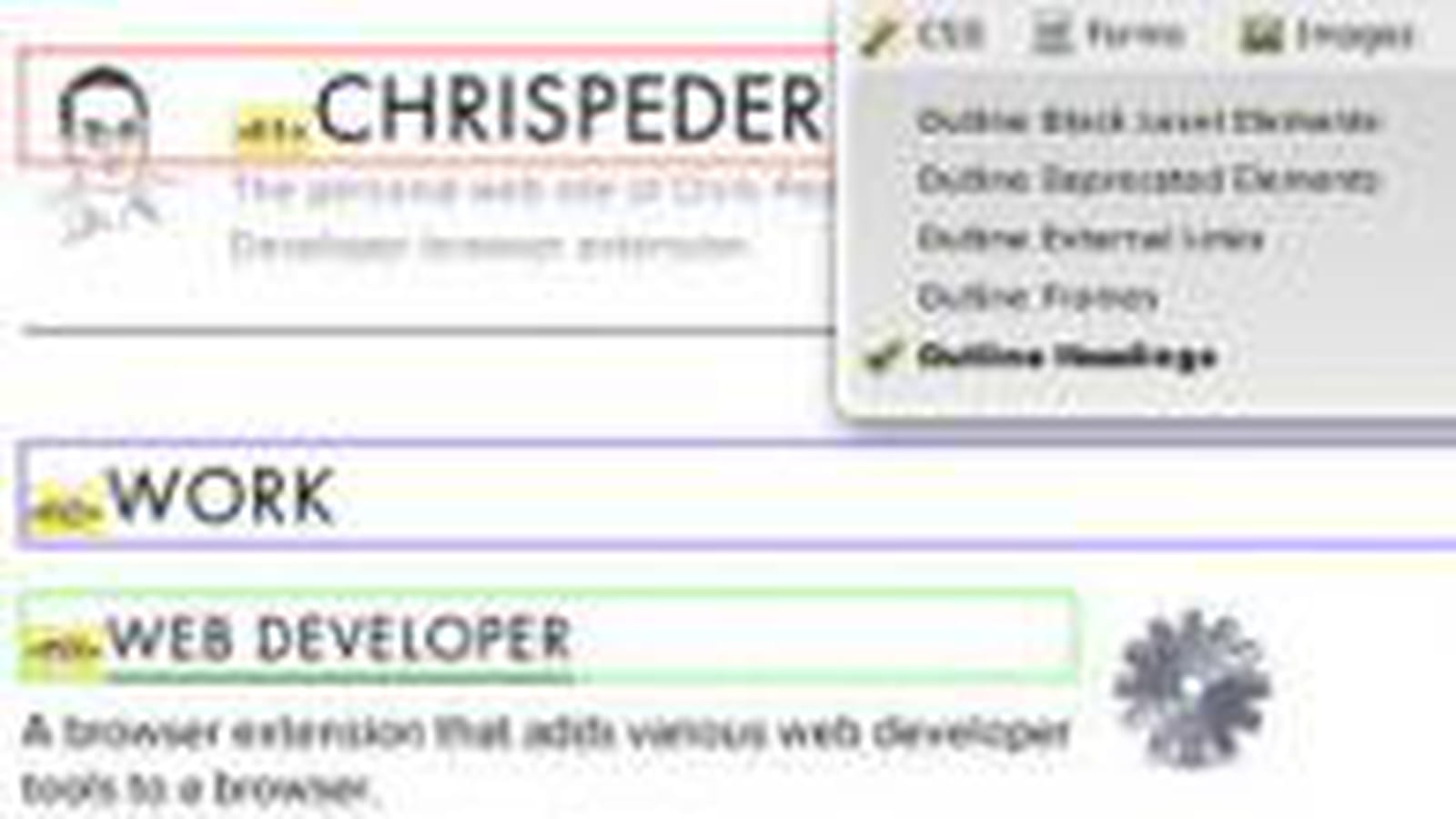 Web Developer
