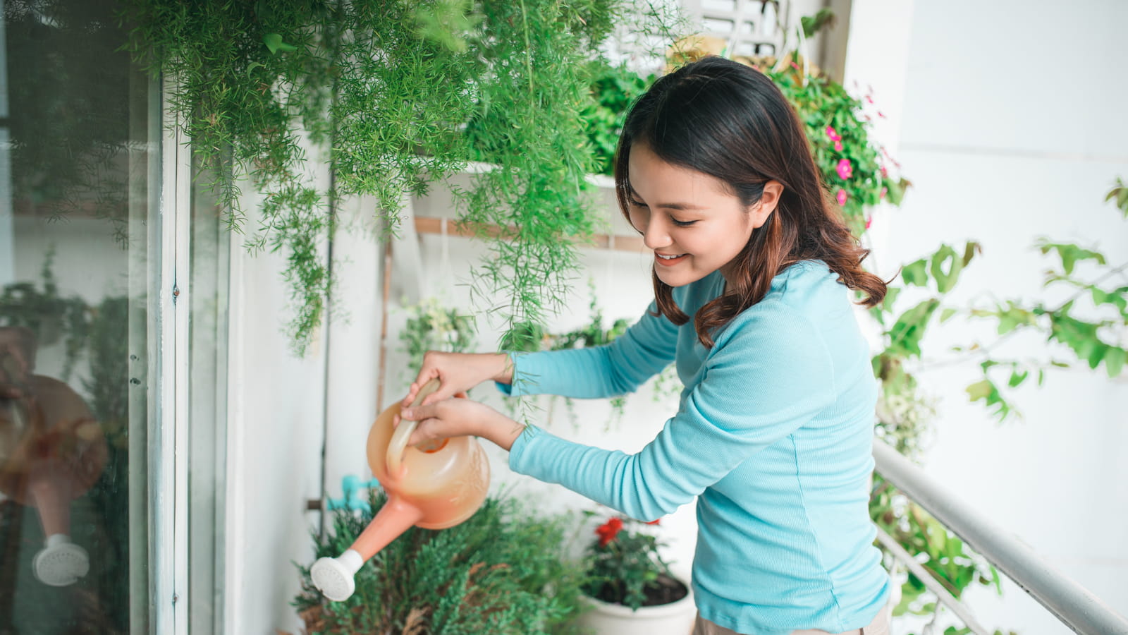 Jardinage