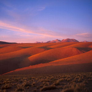 le désert d'atacama au chili.