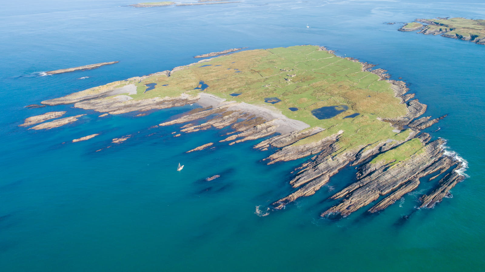 Middle Calf