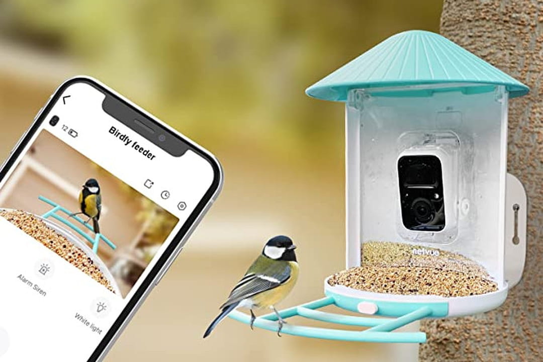 NETVUE Mangeoire Oiseaux Avec Caméra IA - Observation Automatique, Reconnaissance 6000+ Espèces, Alimentation Solaire, Vision Nuit - Pour Jardin Et Extérieur