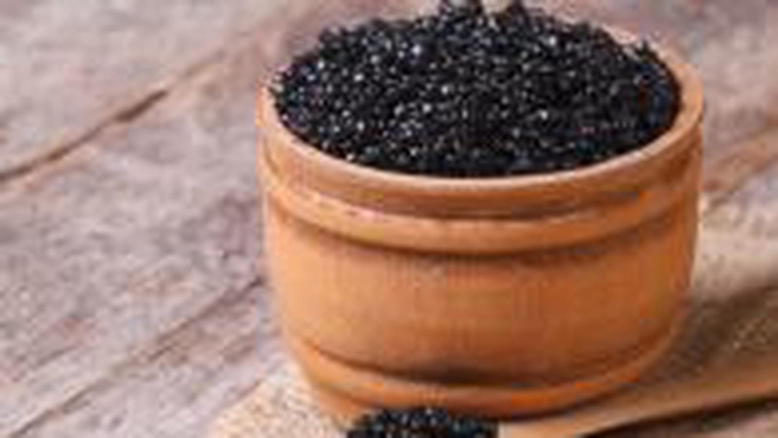 Le caviar de beluga iranien