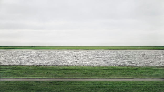 rheinii