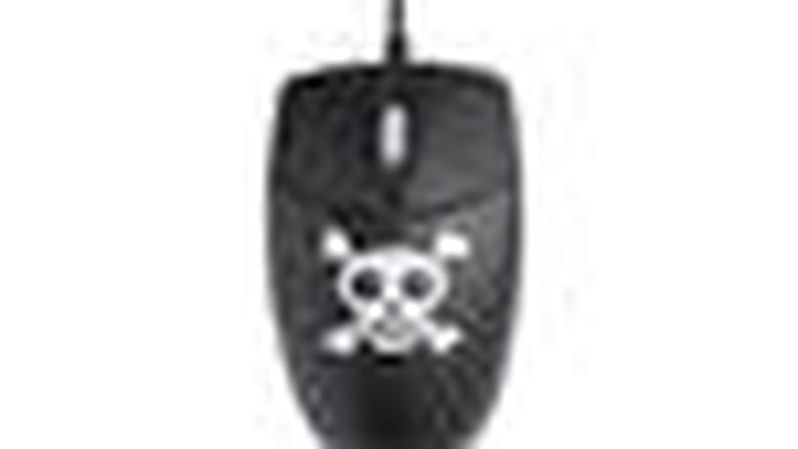 Souris 