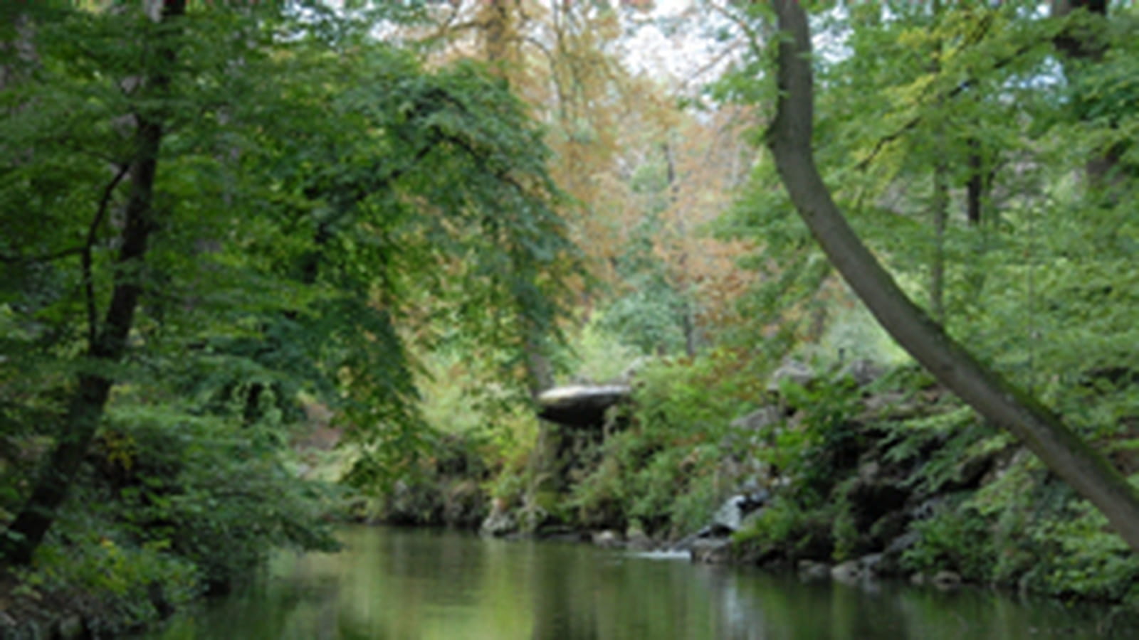 Fontenay-sous-Bois