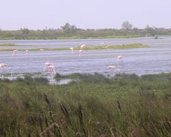 le domaine de listel s'étend sur des milliers d'hectares.