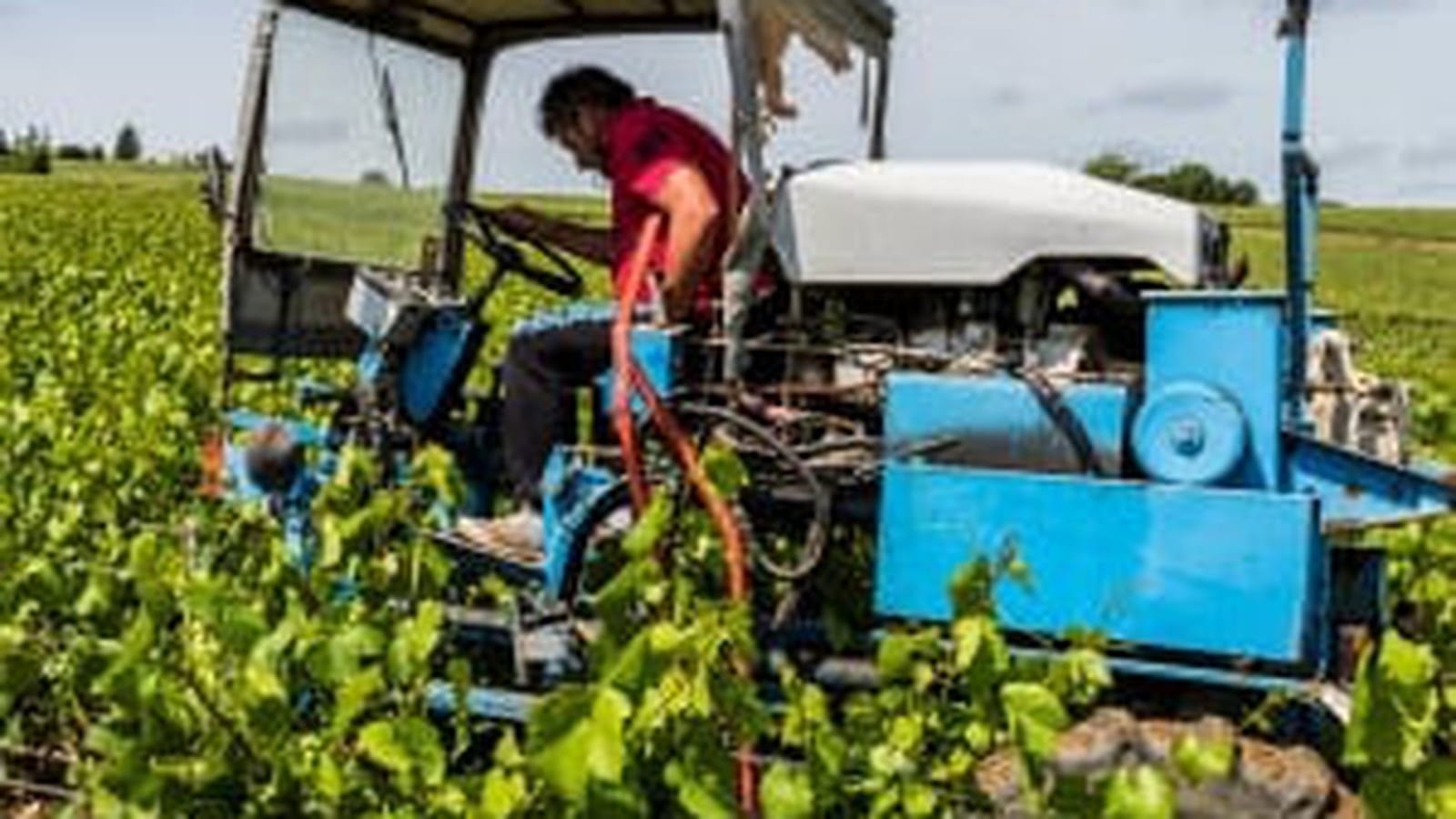Agriculteur