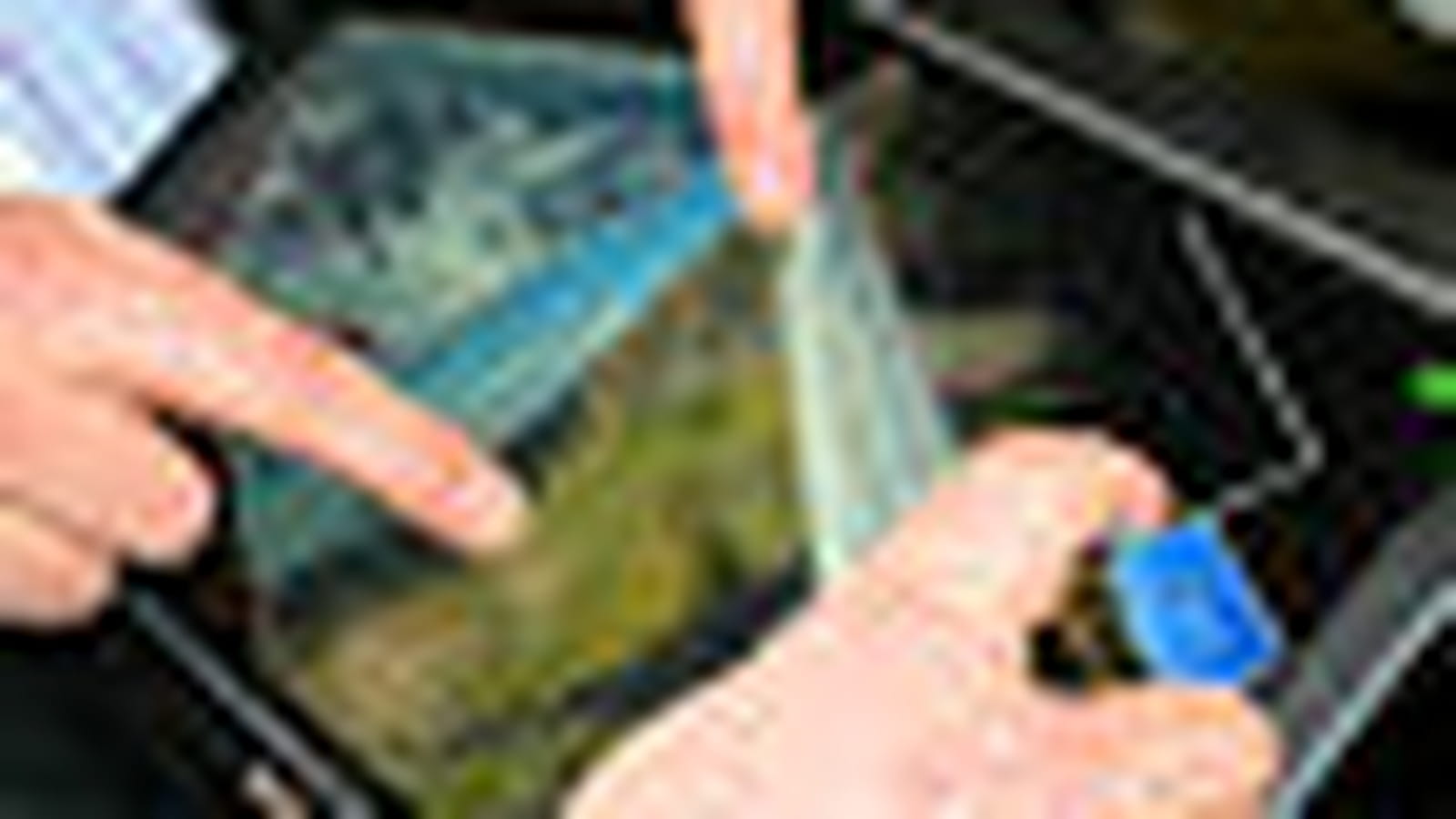 Tactile sur portable, ça marche