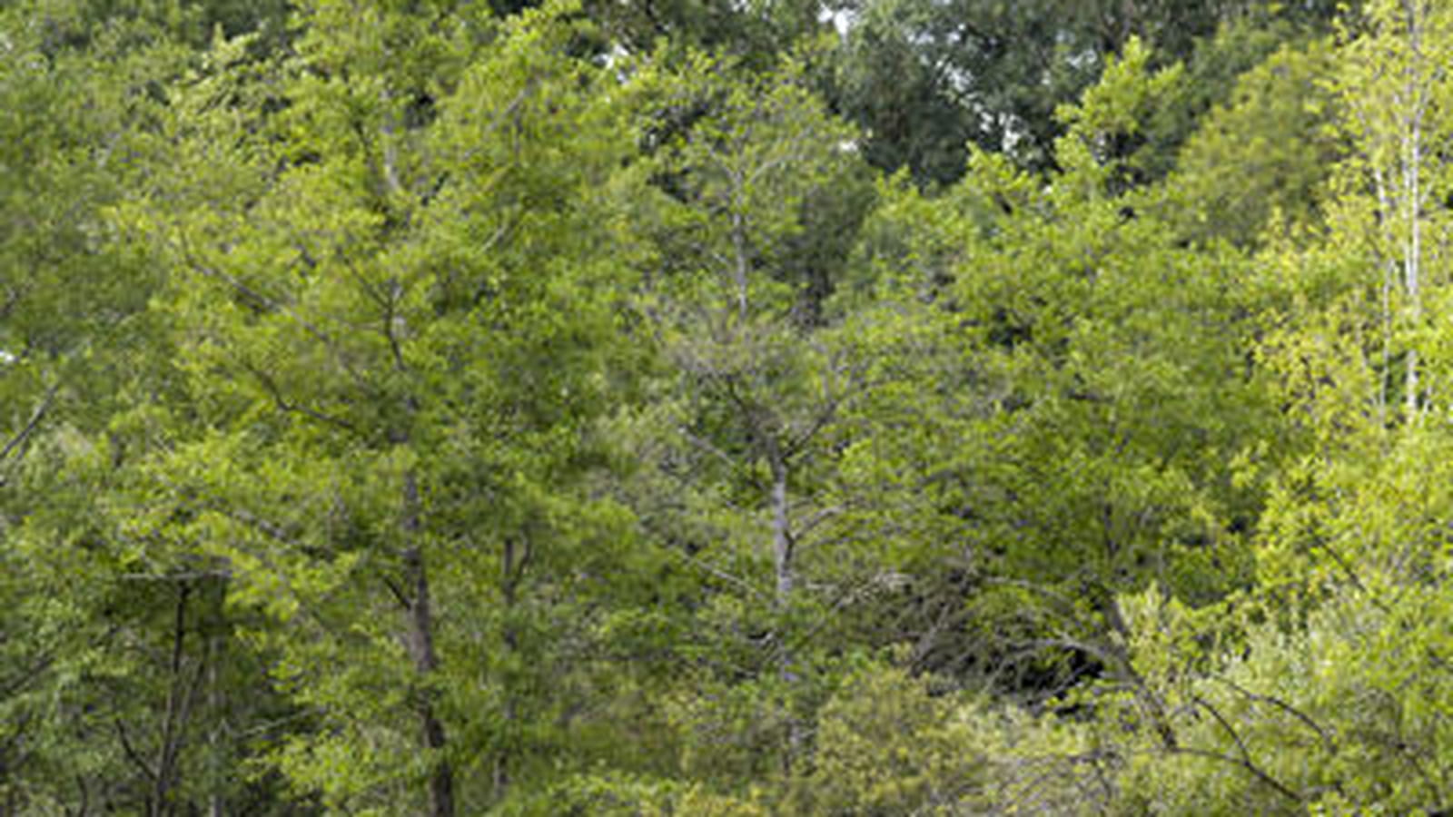 Terrains Natura 2000
