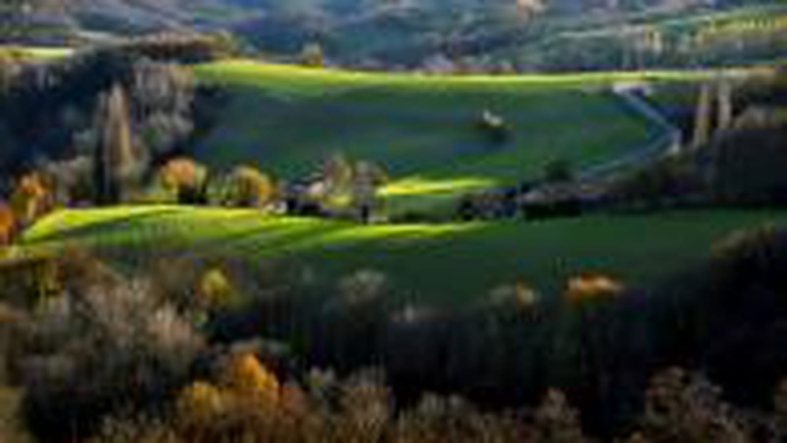 Ecologie