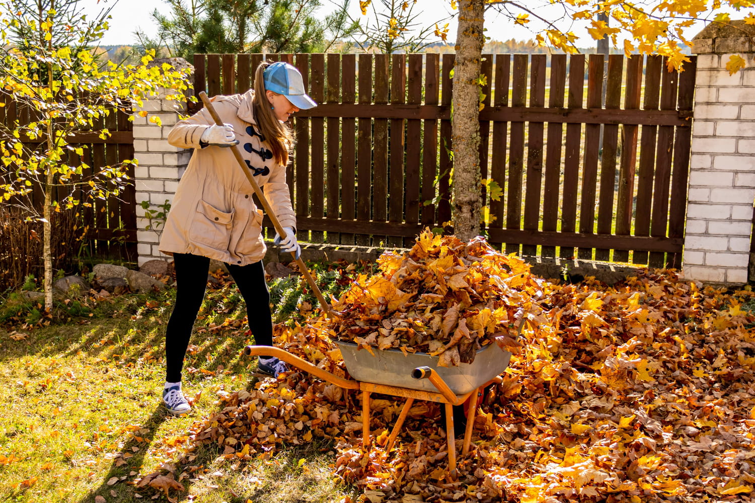 Vous pouvez obliger votre voisin à ramasser les feuilles mortes, mais à une seule condition
