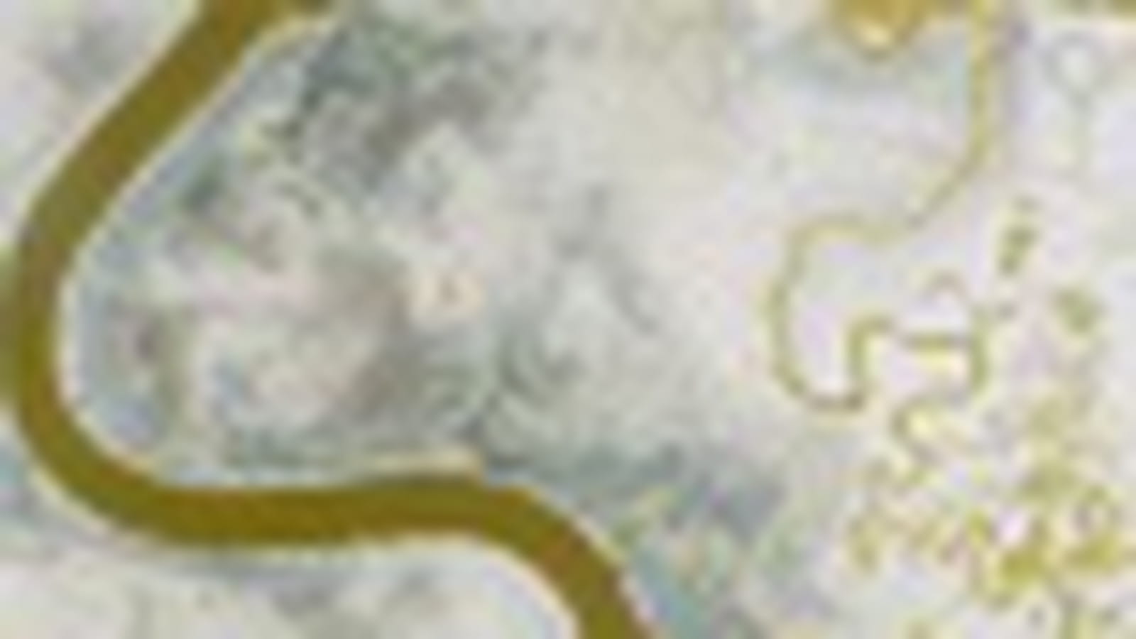 Serpents