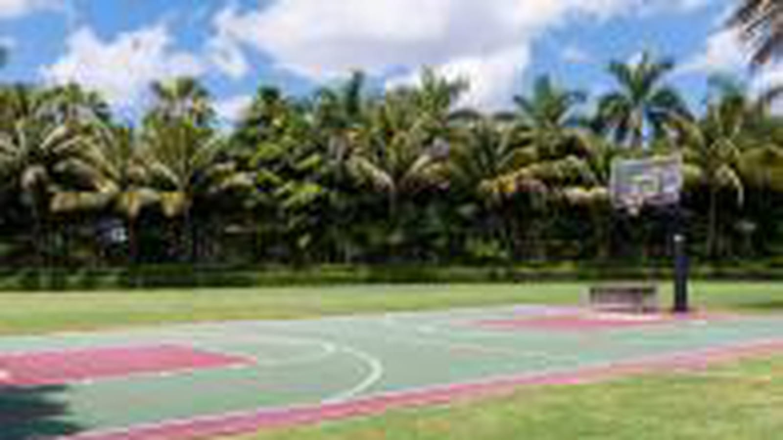 Terrain de basket