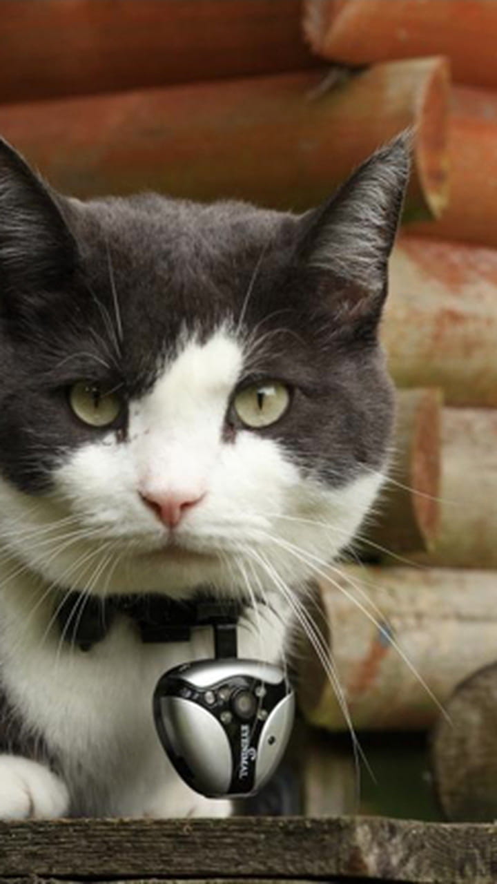 Le Coffret Integral Des 50 Ans De James Bond