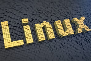 Linux&nbsp;: qu'est-ce que c'est&nbsp;?